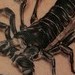 tattoo galleries/ - untitled